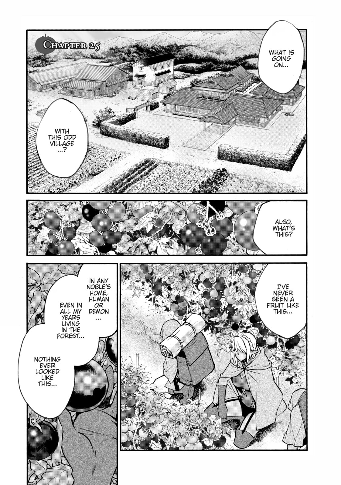 Let's Buy the Land and Cultivate It in a Different World – Chapter 25 page 0